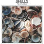 +Shells [PSD Coloring]