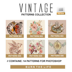 Vintage | Patterns Collection