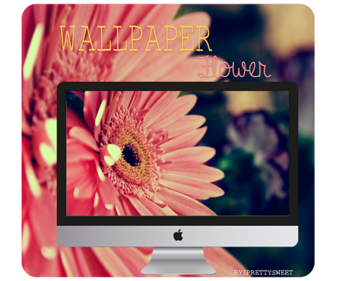 Wallpaper Flower *-*