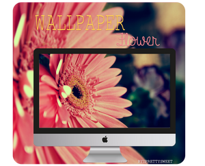 Wallpaper Flower *-*