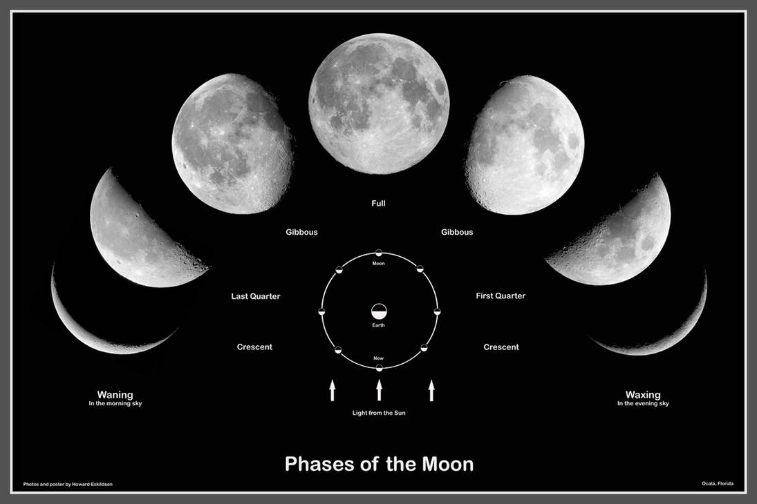 Цикл луны март 2024. Фазы Луны. Стадии Луны. Фазы Луны астрономия. Цикл лунных фаз.
