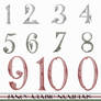 Fancy Arabic Numerals