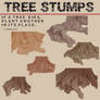 Six Tree Stumps