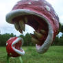 Making A Piranha Plant