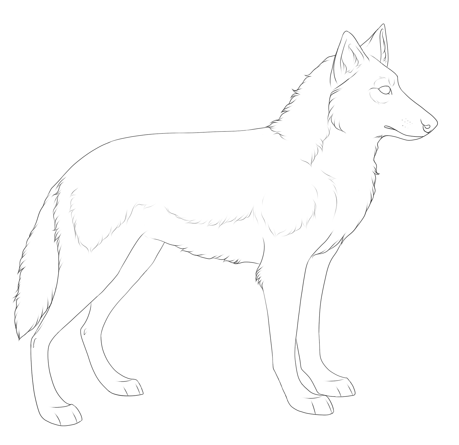 FREE wolf lineart