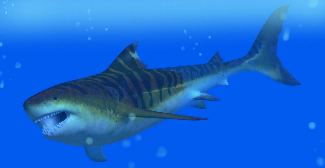 XPS JWE2 Megalodon by SporemanJake on DeviantArt