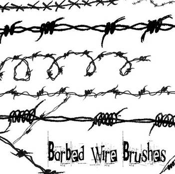 Barbed Wire brushes