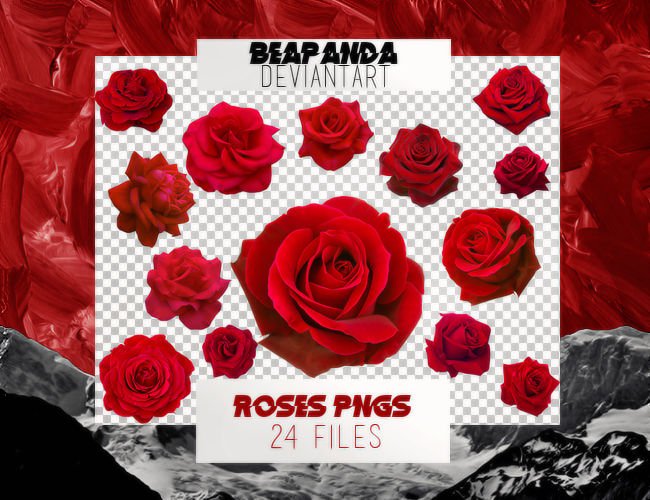 Renders 043 // Roses Pngs by xBEAPANDA on DeviantArt