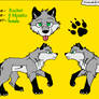 Racher's Reference Sheet