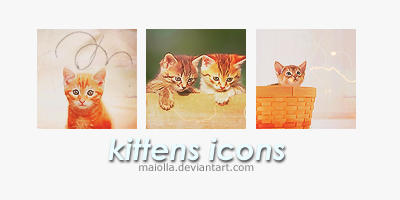 kittens icons