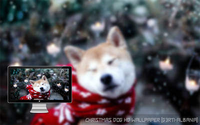 Christmas 2015 Dog HD Wallpaper (G3RTI-ALBANIA)