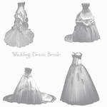 Wedding Dress Brushes