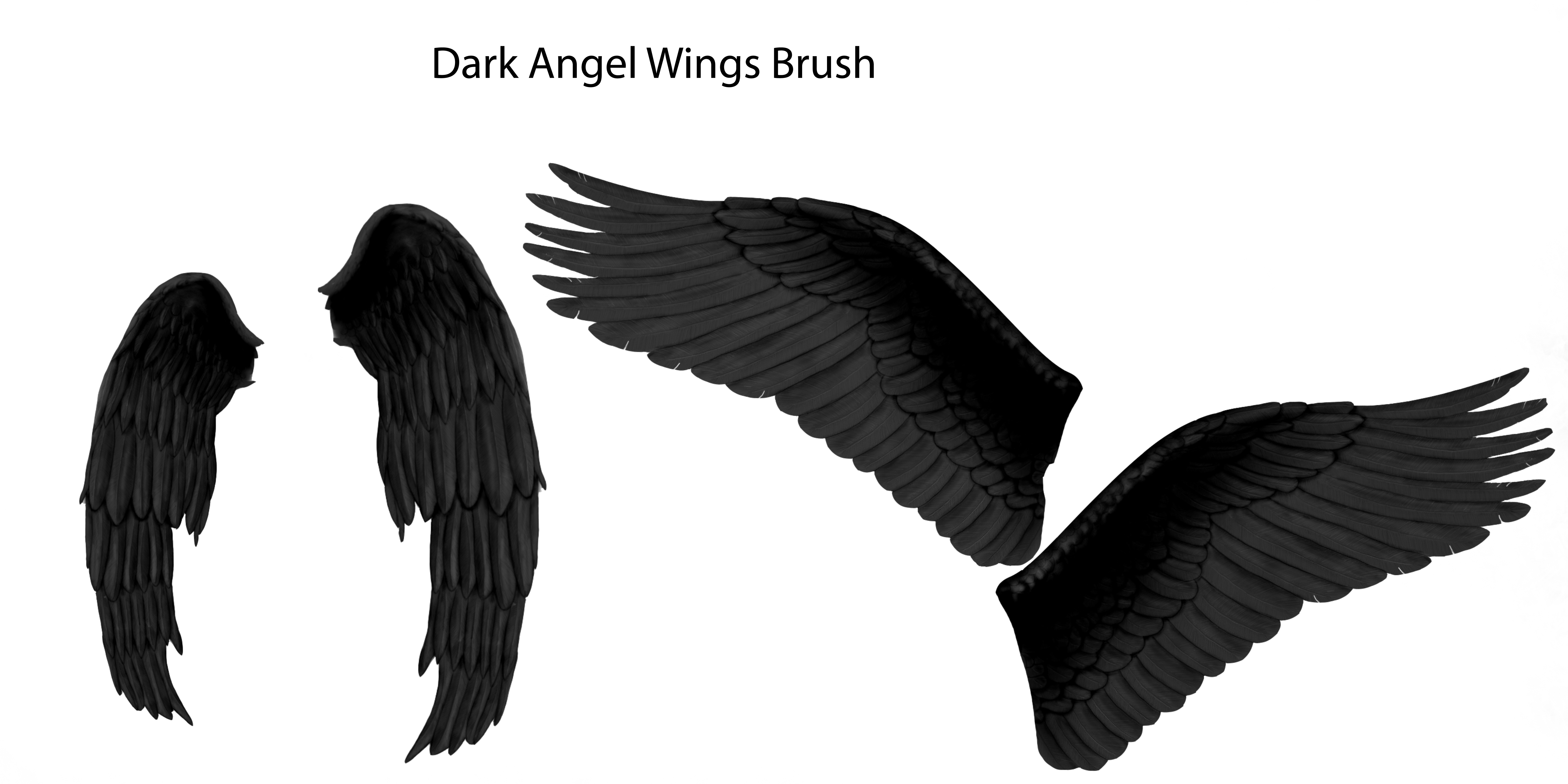 Dark Angel wings brush