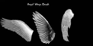 Agel wings brush