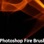 9 Fire brushes