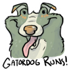 Gatordog Run Cycle