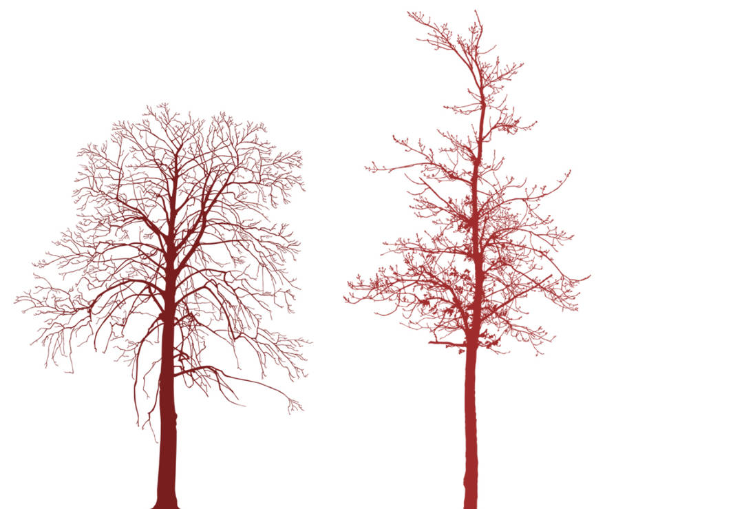 Hi Res Trees Photoshop Brushes By Cyberxtremer On Deviantart
