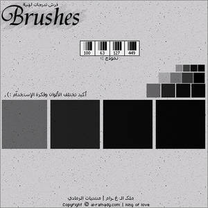 Brushes TDRJAT LWNEAH