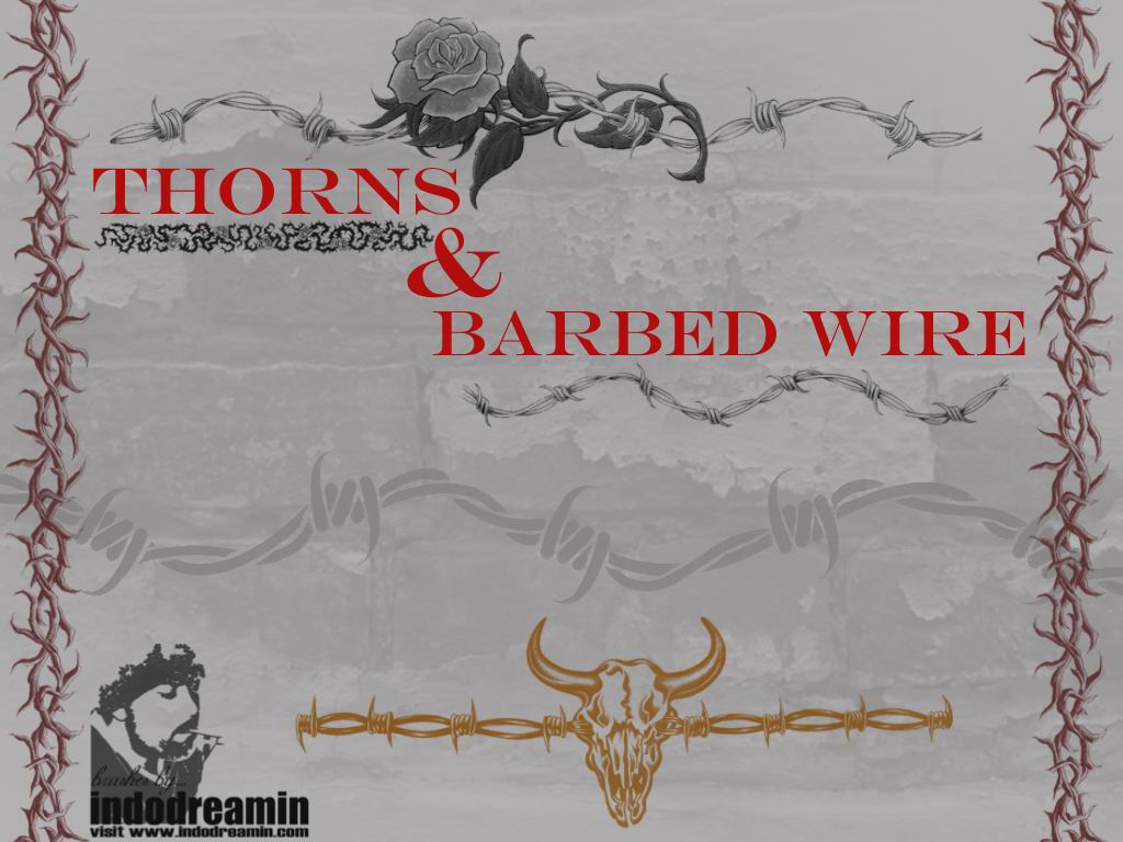 Thorns and Barbed Wire