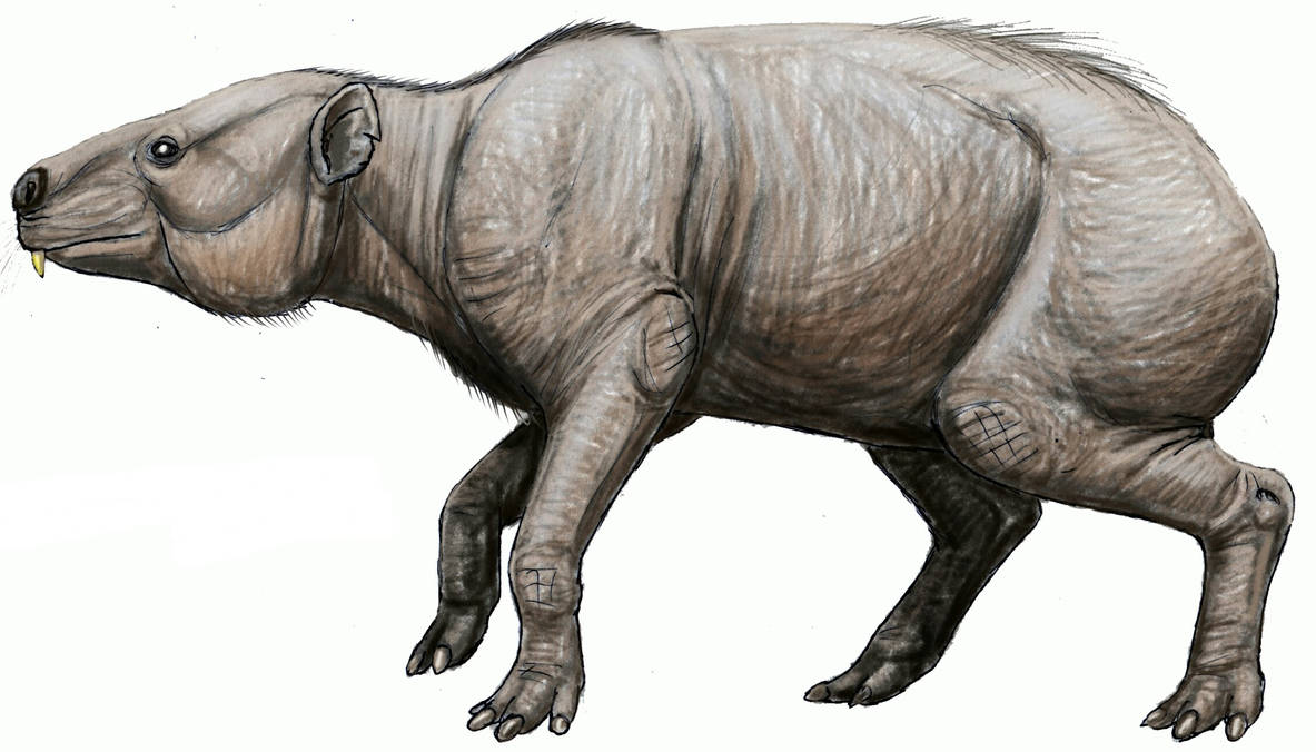 Megahyrax by Dylan613 on DeviantArt