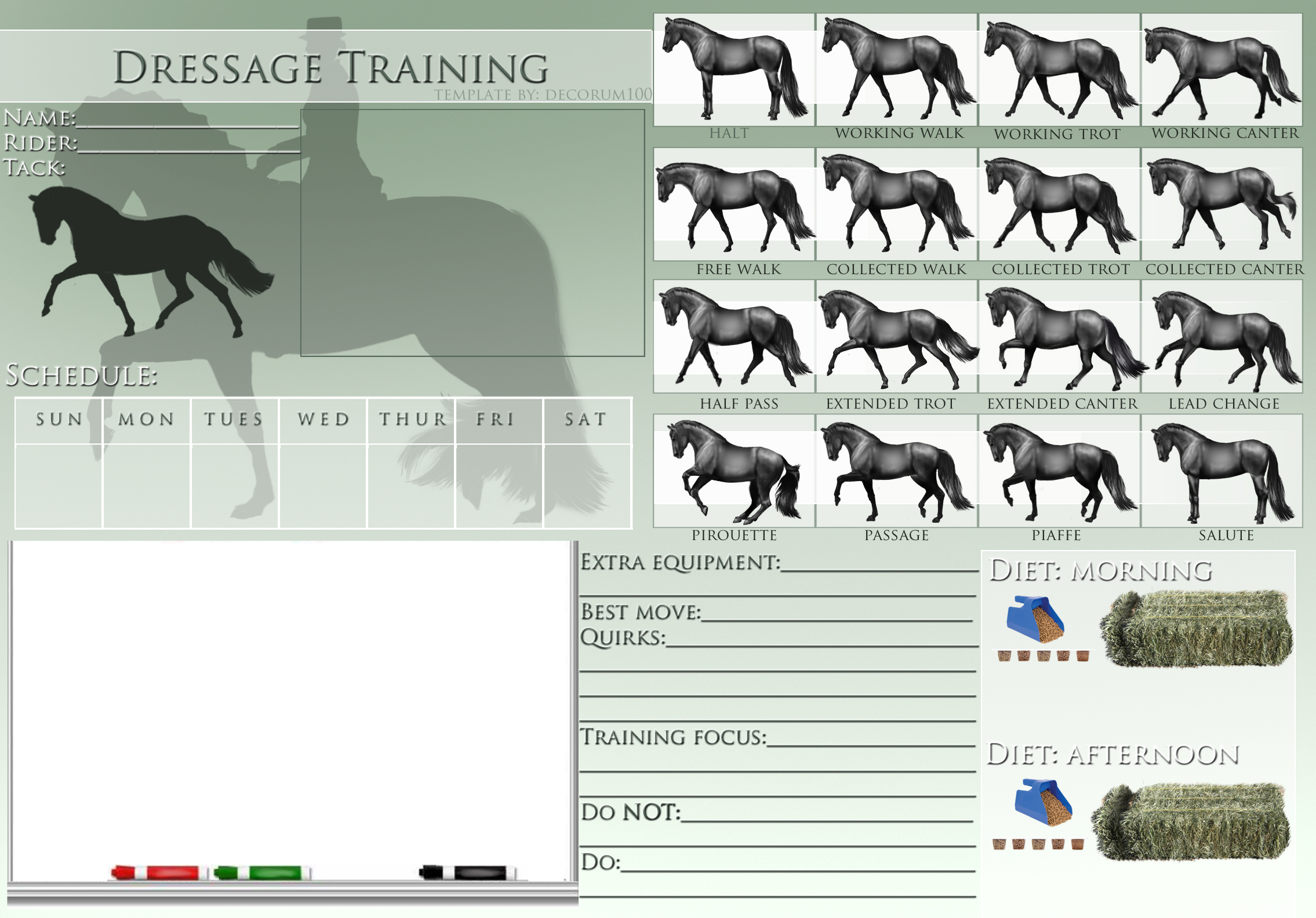 Dressage Training Template