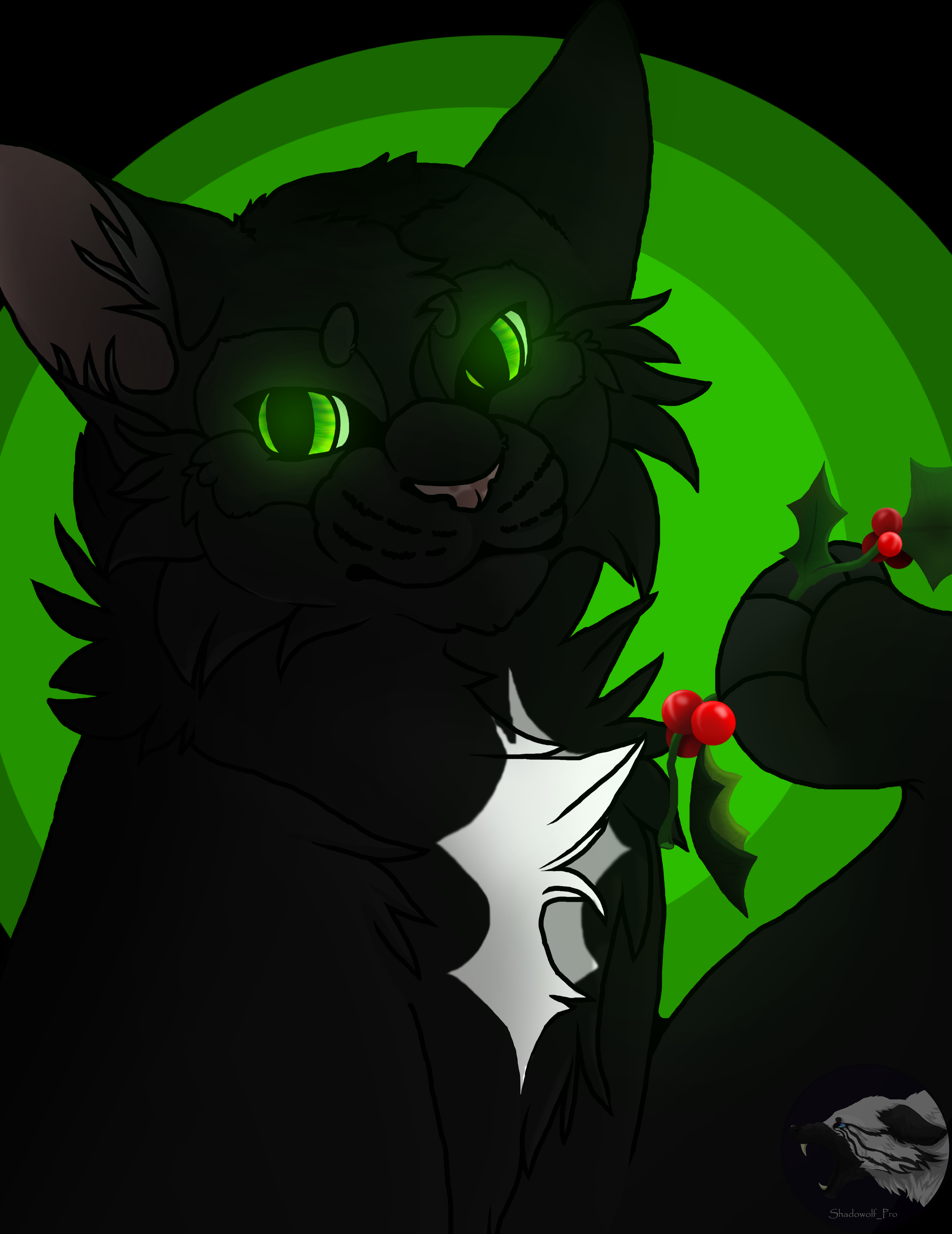 Featured image of post View 22 Warrior Cats Hollyleaf Fanart