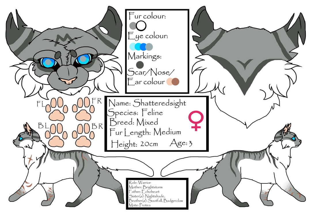 Shatteredsight Reference by shadotsuki on DeviantArt