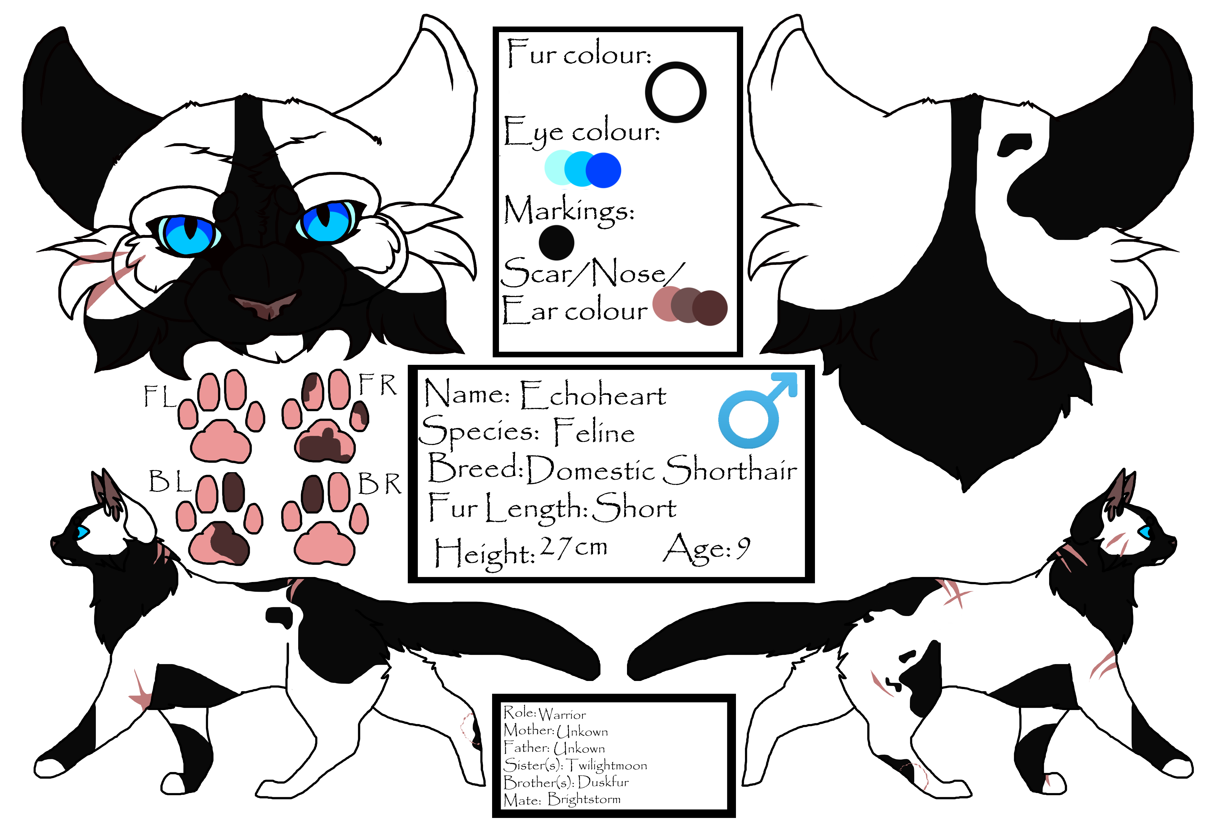 Echoheart Reference by shadotsuki on DeviantArt