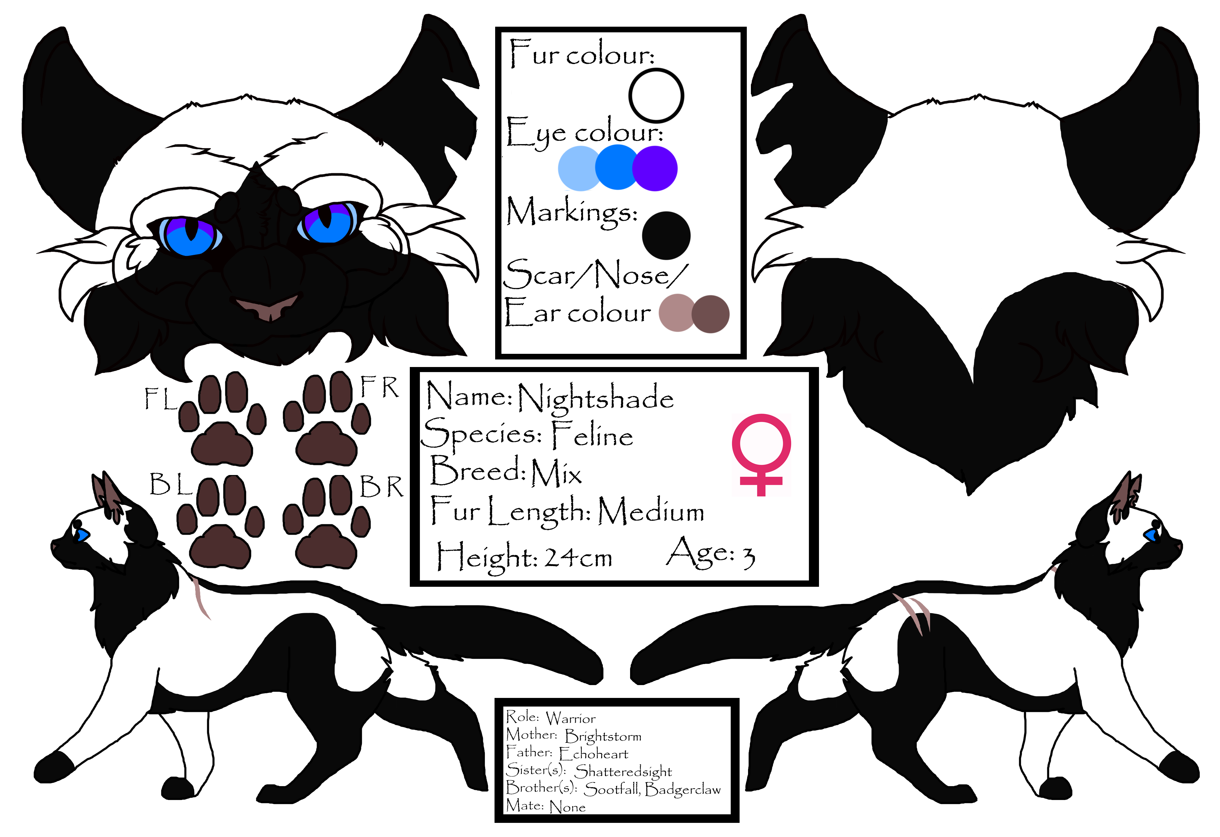 Nightshade Reference by shadotsuki on DeviantArt