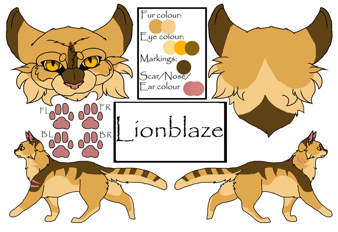 Lionblaze by shadotsuki on DeviantArt