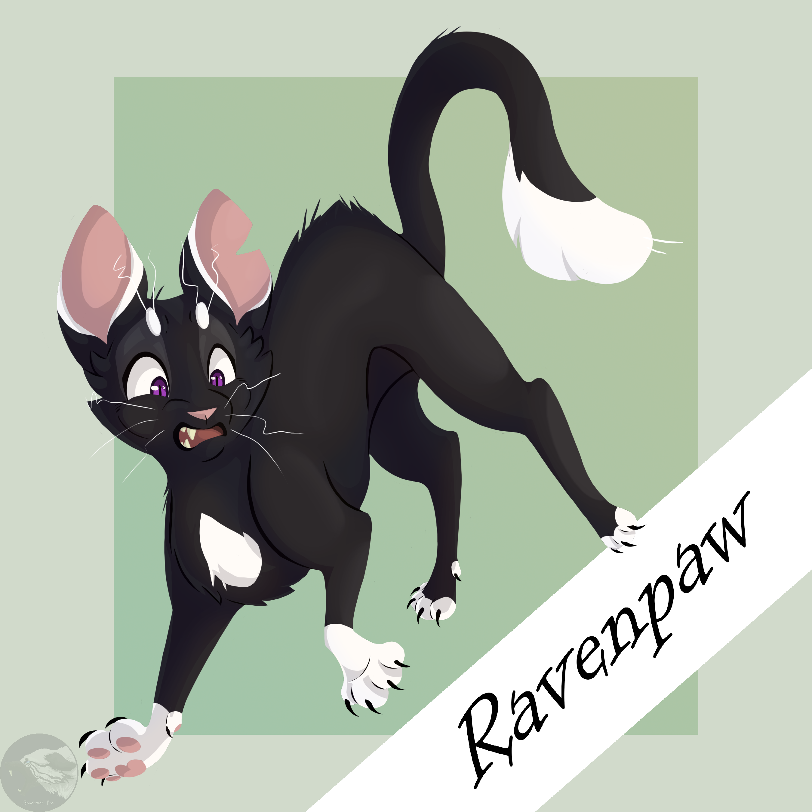 Ravenpaw by shadotsuki on DeviantArt
