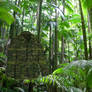 Jungle+Mcam Tropic+Meadow