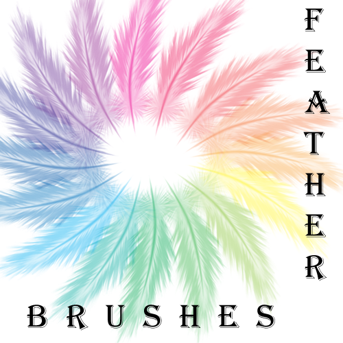 Feather Brushes