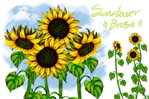 Sunflower n Stem Brushpack - Firealpaca Medibang