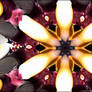MVJ-Metamorphoses-in-Bloom Re-Edit 4:43 FHD 60fps