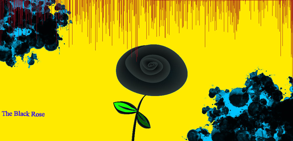 The Black Rose by MadMady on DeviantArt