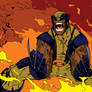 Wolverine Flats 2