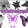 Sometime in Spring