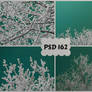 PSD 162 - frosty