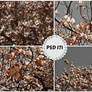 PSD 171 - cherry blossom