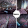 PSD 178 - enchanted forest