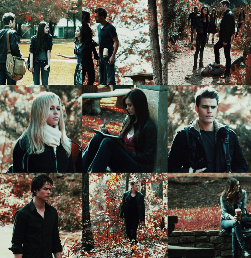 psd 224 - the vampire diaries by anniexoxos on DeviantArt