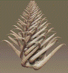 3D'Fractal - The Snake Tree