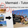 Tutorial 01 -Mermaid-