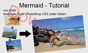 Tutorial 01 -Mermaid-