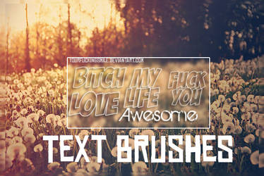 +Brushes: TextBrushes