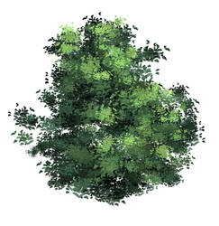 anime type Tree(leaves) brush XD
