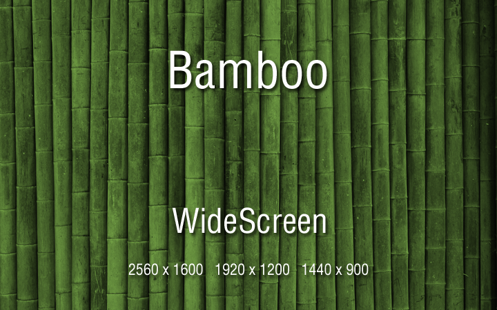 -Bamboo-