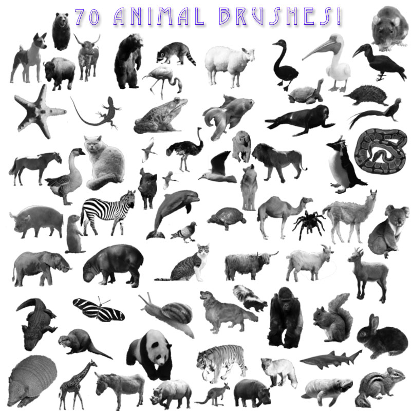 A-Z Animal Brushes by kmh425 on DeviantArt