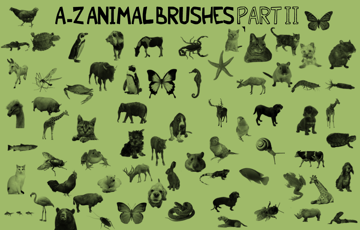 AZ Animal Brushes PART 2 by kmh425 on DeviantArt